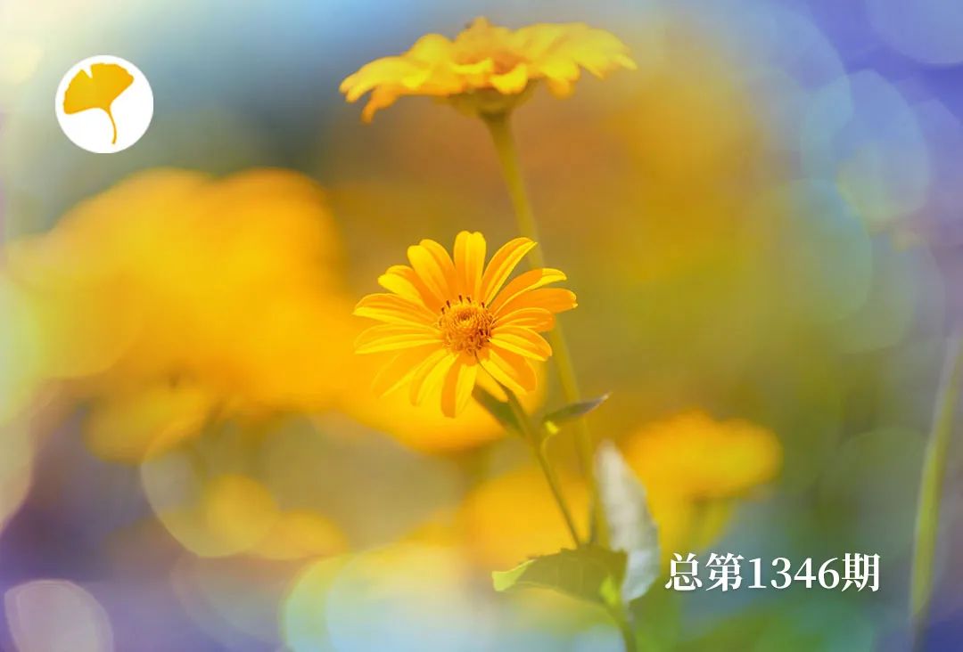 Xinglin Daily | Summer Spleen and Stomach Vulnerability! Three Common Causes of Spleen Qi Deficiency to Avoid