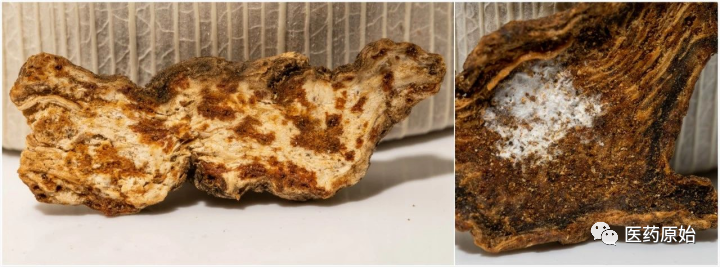 Identifying Atractylodes