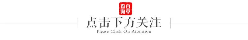 Seven Types of Spleen Qi Deficiency and Corresponding TCM Formulas
