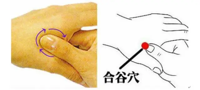 47 Unique Acupuncture Points Worth Seeing! (Collector's Edition)