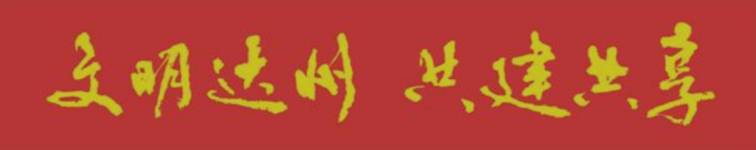 Understanding Traditional Chinese Medicine Pills: A Comprehensive Guide