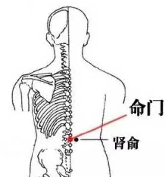 Moxibustion! Remember These 9 Acupuncture Points to Address 90% of Diseases!
