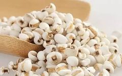 The Marvelous Benefits of Coix Seed (Yi Yi Ren)