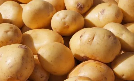 Foods That Should Not Be Eaten Together: Important Dietary Considerations