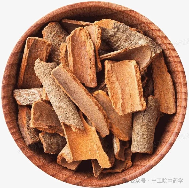 Exploring Cinnamon: Understanding Its Varieties and Uses in TCM