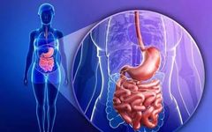 What Traditional Chinese Medicines Are Effective for Spleen and Stomach Deficiency, Damp-Heat, and Weakness?
