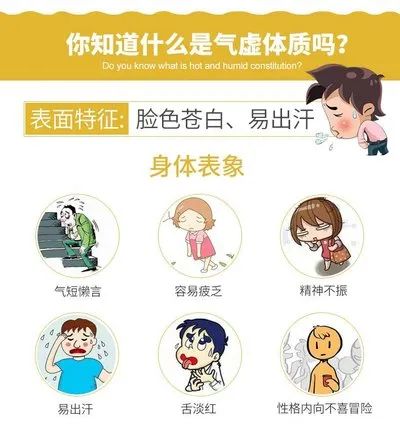Understanding Qi Deficiency Constitution in Traditional Chinese Medicine