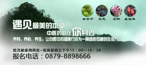 Chuanxiong (Ligusticum Chuanxiong) - A Versatile Herb in Traditional Chinese Medicine