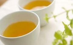 Understanding the Nine Methods of Clearing Heat and Detoxifying According to Zhang Zhongjing