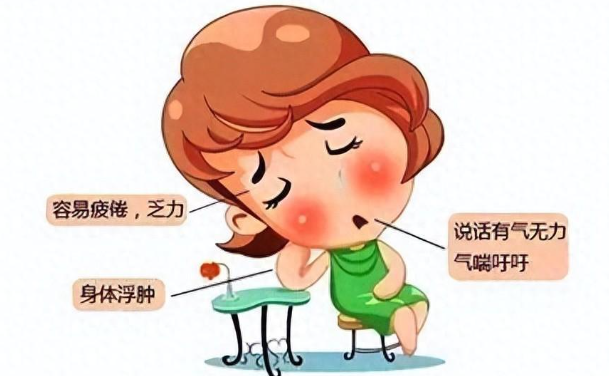 The Four Major Deficiencies in Traditional Chinese Medicine: Qi Deficiency Leads to Laziness, Blood Deficiency Causes Dryness, Yin Deficiency Results in Heat, and Yang Deficiency Results in Cold - How to Adjust