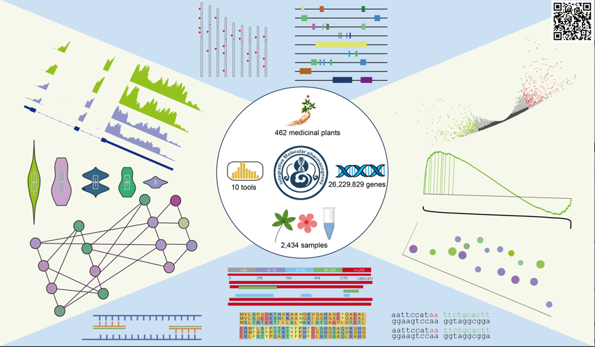 Artificial Herbal Cell: Compound Danshen Yeast 1.0