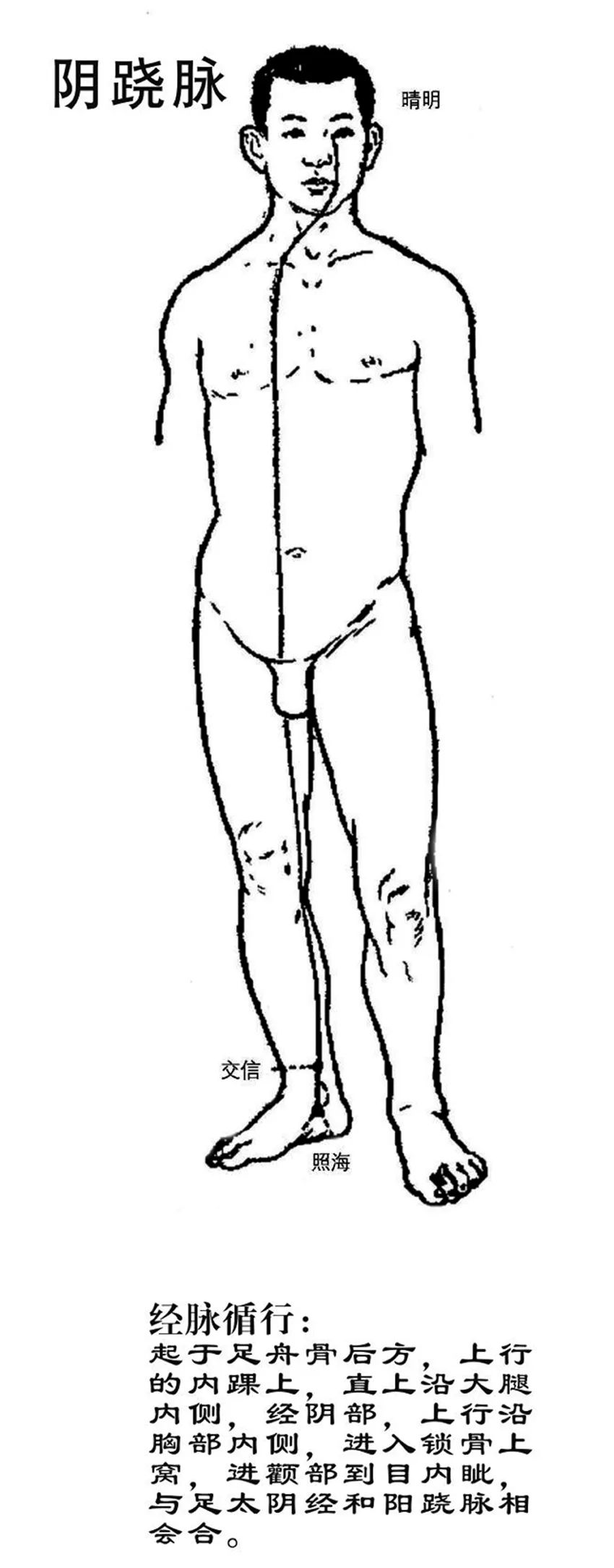 Exploring the Health Principles of Baduanjin through the Theory of the Eight Extraordinary Meridians