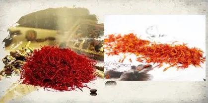 Understanding the Differences Between Saffron (Crocus sativus) and Carthamus (Carthamus tinctorius)