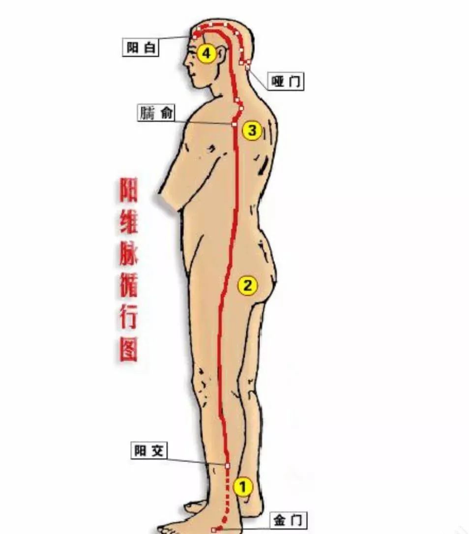 The Eight Extraordinary Meridians: A Major Remedy for Comprehensive Healing, Including Diagrams!