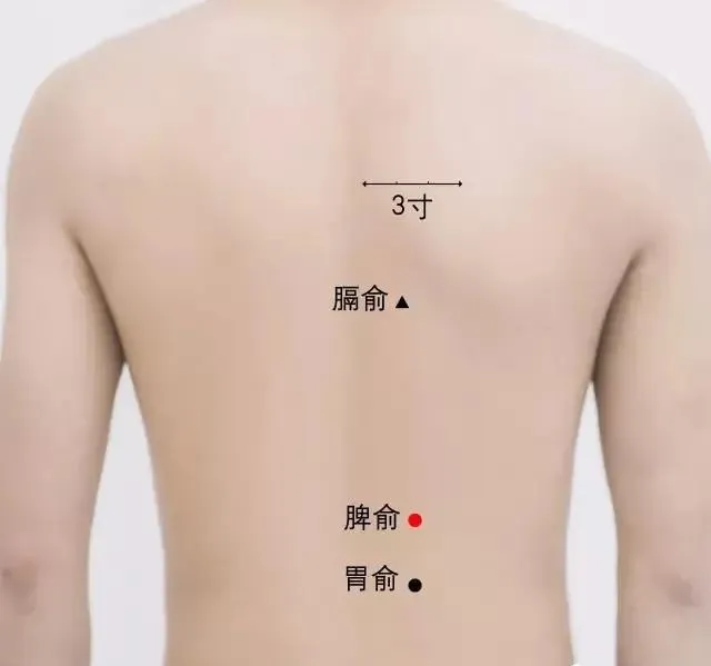 Anxiety? Quickly Relieve Your Mood with Moxibustion!
