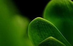 Glossary of Traditional Chinese Medicine Terminology (Essential for TCM Practitioners)
