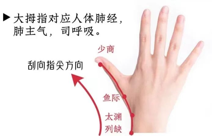 Popular Science | Gua Sha for the Hands: Unblocking Meridians