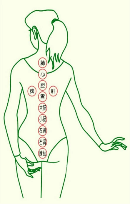 Techniques for Cupping Therapy