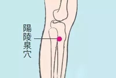The Ten Most Important Acupuncture Points in the Human Body!