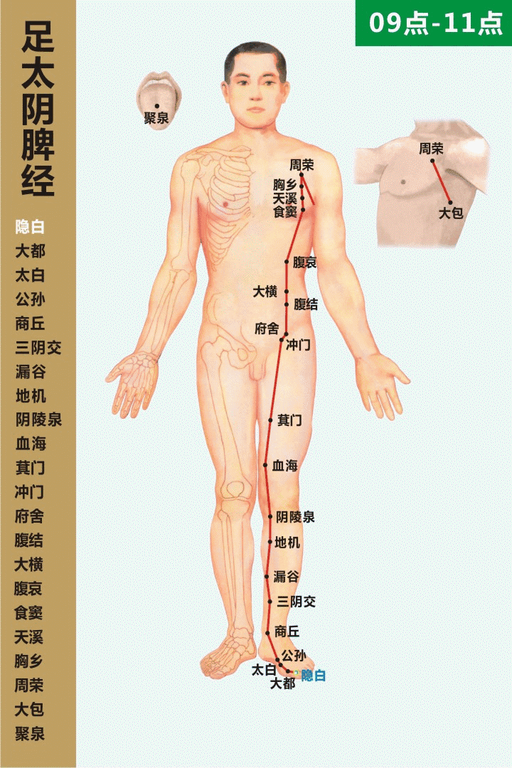 Understanding the Essentials of the Huangdi Neijing in 10 Minutes (Save for Study)