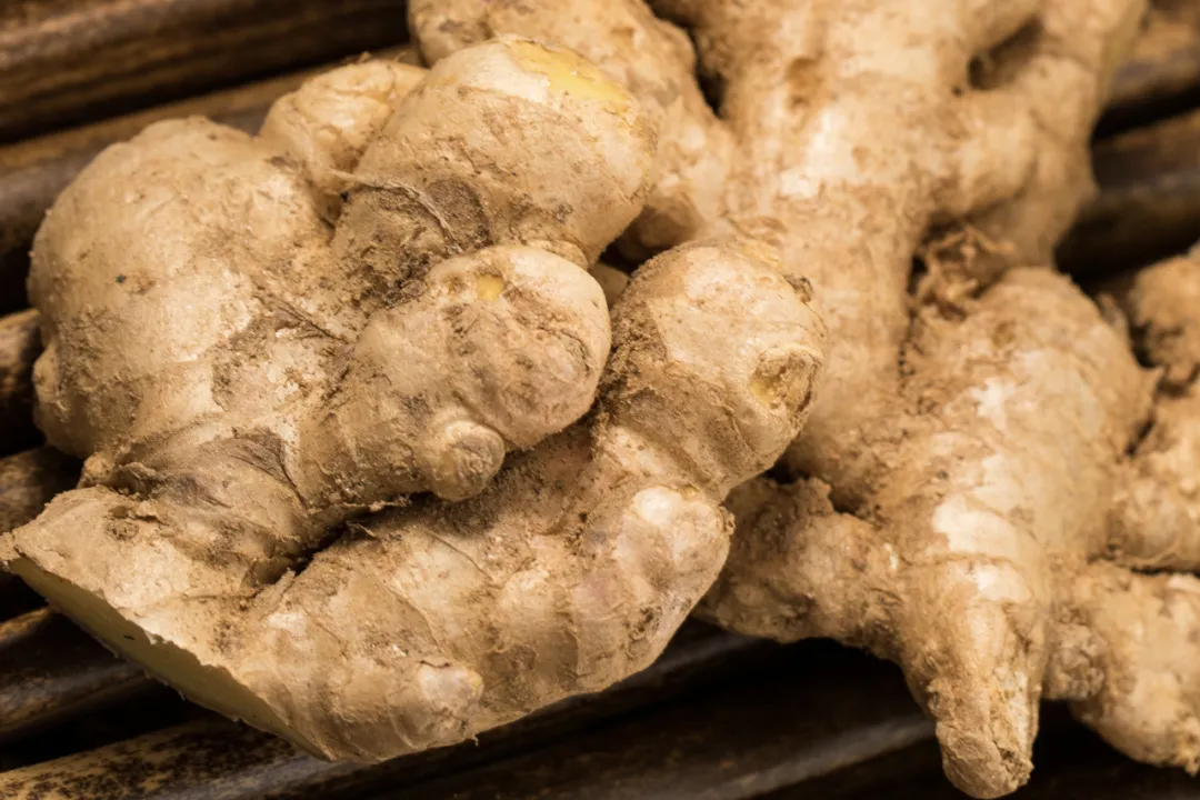 The Significant Differences Between Fresh Ginger and Dried Ginger: Choosing the Right Ginger for Health Before the Dog Days