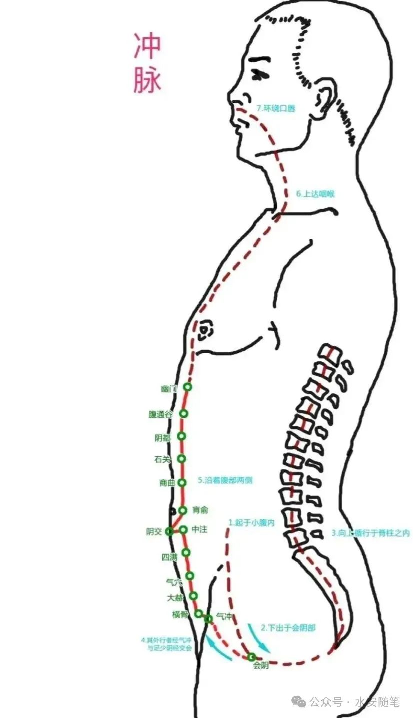 The Pathways of Meridians: A Traditional Chinese Medicine Guide