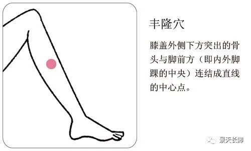 How to Improve Phlegm-Damp Constitution?