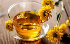 The Effects and Efficacy of Honeysuckle (Jin Yin Hua)