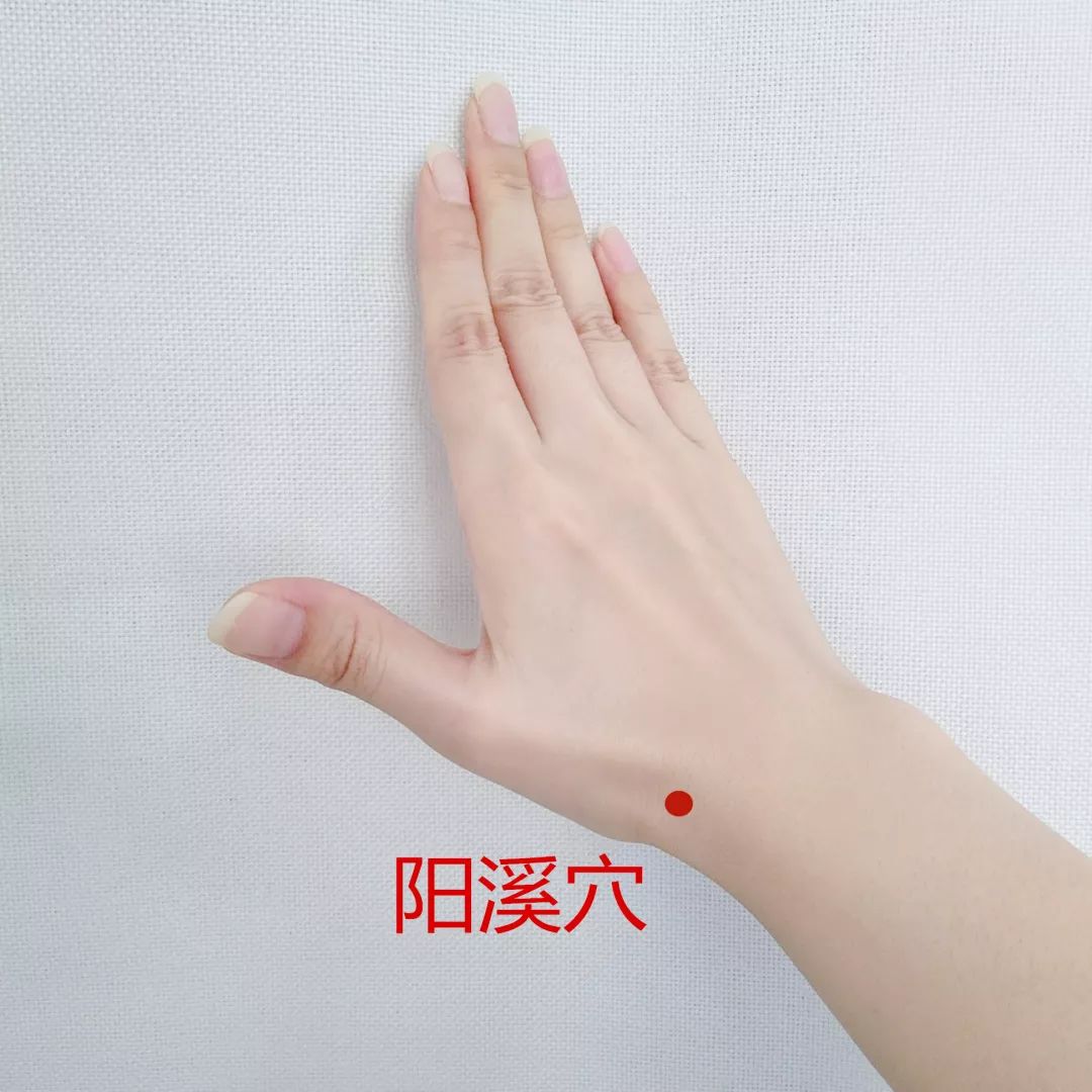 Acupoint Knowledge | Twelve Meridians: Hand Yangming Large Intestine Meridian and Hegu Point
