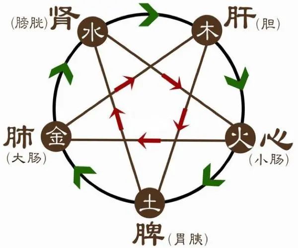 The Five Elements: Human Follows Earth, Earth Follows Heaven, Heaven Follows Dao, Dao Follows Nature