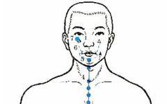 Understanding the Eight Extraordinary Meridians in TCM