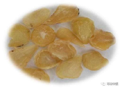Understanding Fuzi (Aconiti Radix) in Traditional Chinese Medicine
