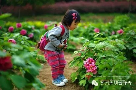 Health Preservation for Harmonious Constitution During Grain Rain