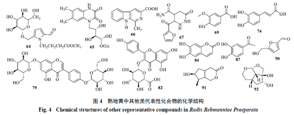 Research Progress on the Pharmacological Basis of Rehmannia Glutinosa