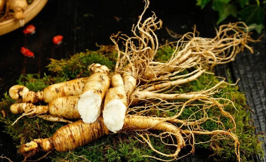 The Importance of Blood Nourishment in TCM: A Recipe for Vitality and Spleen-Stomach Regulation