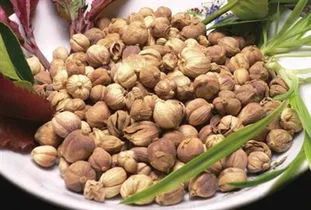 10 Dietary Therapies to Strengthen the Spleen and Clear Damp-Heat for Health