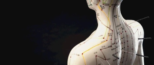 The Eight Meeting Points: The Key to the Eight Extraordinary Meridians