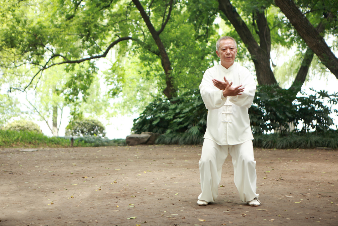 The Balance of Yin and Yang in the Human Body: The Key to TCM Health Preservation Theory!