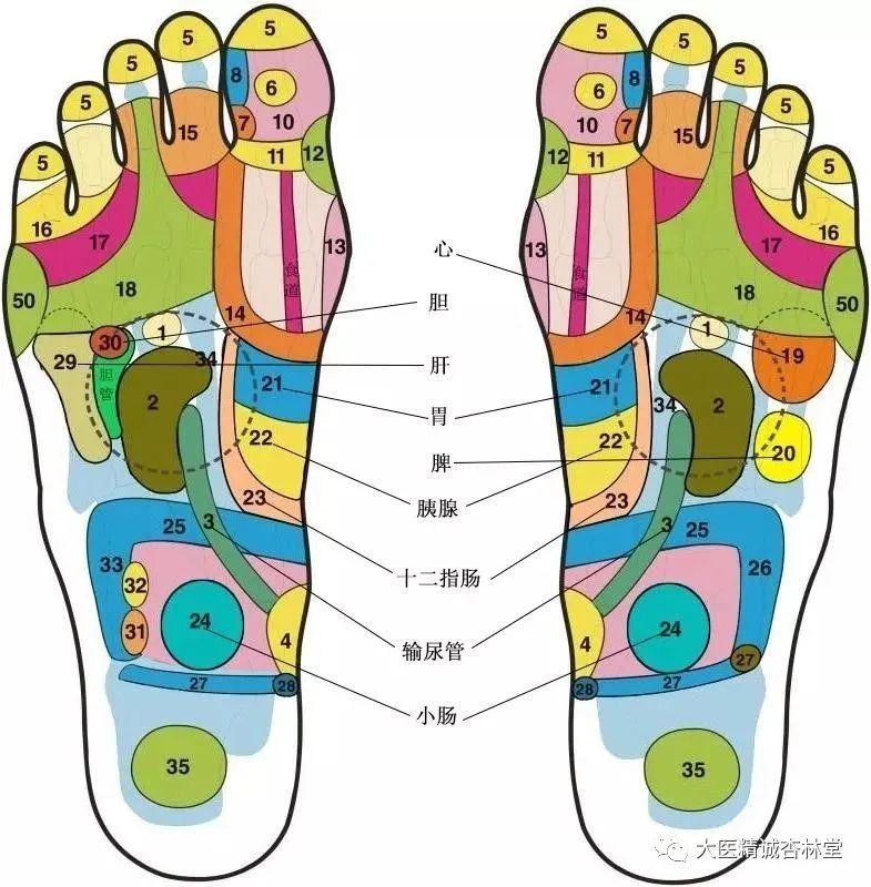 Liver Qi Stagnation: How Traditional Chinese Medicine Can Help