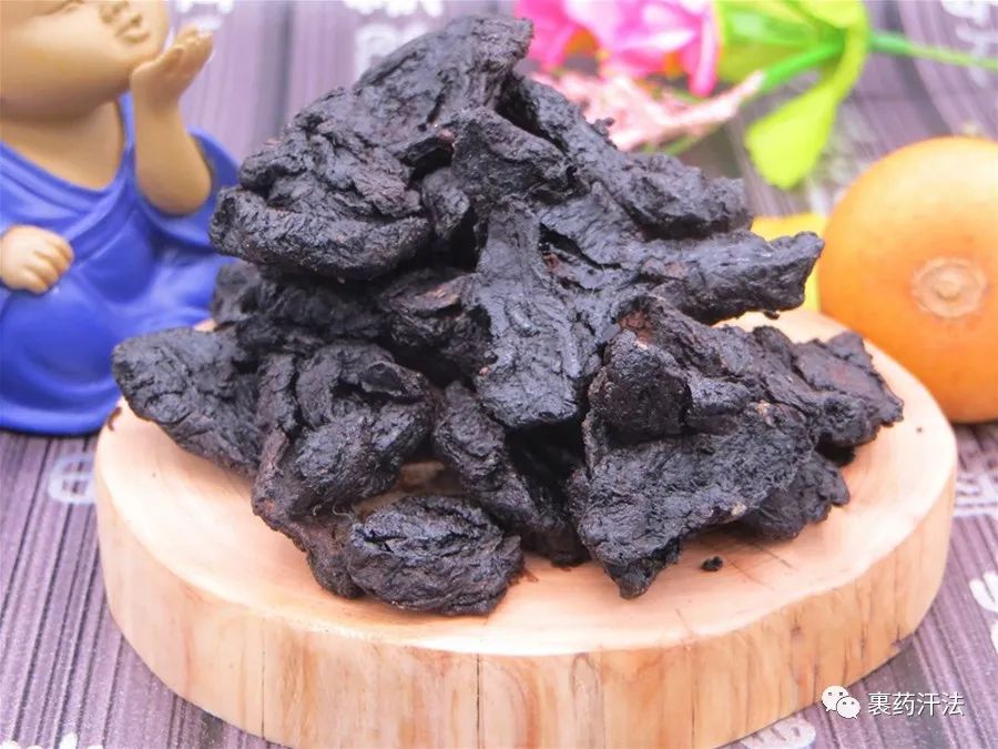 Understanding a Chinese Medicinal Herb: Rehmannia Glutinosa