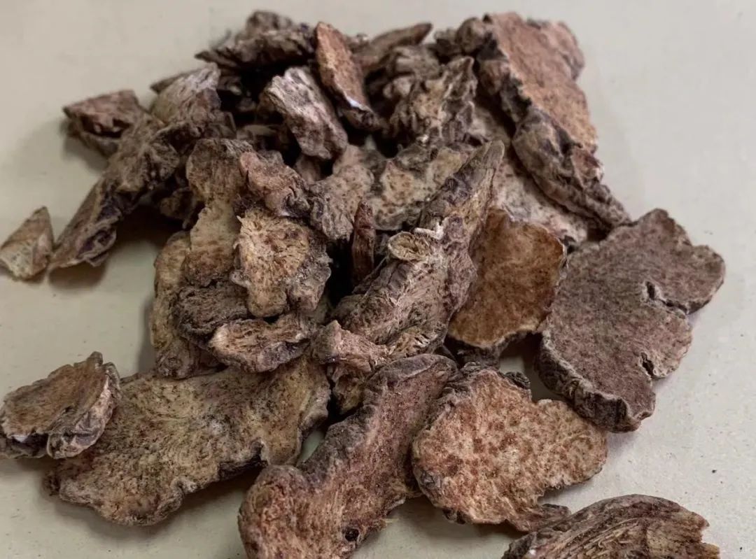 Weekly Herb Spotlight: Cang Zhu (Atractylodes)