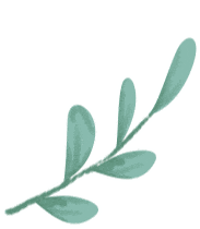 Weekly Herb: Codonopsis (Dang Shen)