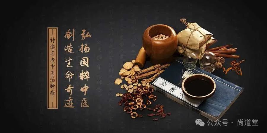 The Path of Traditional Chinese Medicine