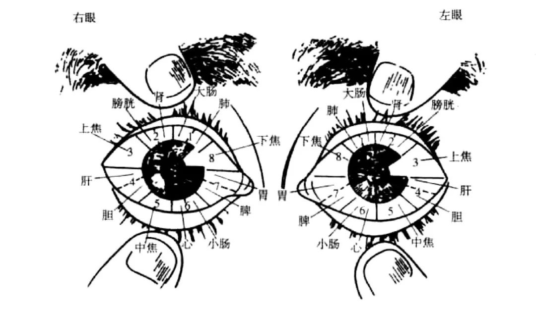 Observing the Sclera: Understanding Disease Through the Eyes