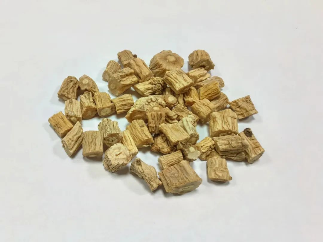 Weekly Herb: Codonopsis (Dang Shen)