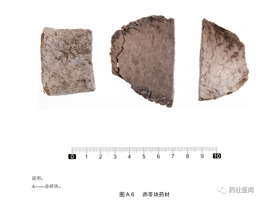 Poria (Fuling) - A Comprehensive Overview