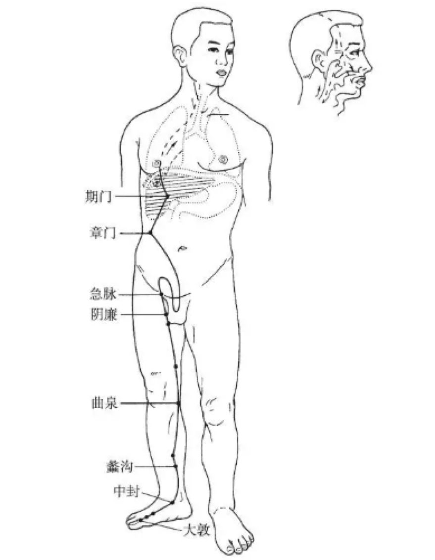 The Pathways and Interconnections of the Twelve Meridians