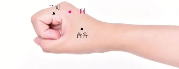 Acupuncture Techniques for Treating Neck, Shoulder, Waist, and Leg Pain: The Three Hand Points and Three Foot Points!