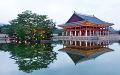 The Power of the Five Elements in Traditional Chinese Medicine