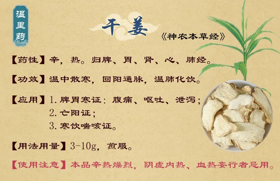 Gan Jiang (Dried Ginger): Warming the Middle Jiao and Invigorating the Spleen and Stomach
